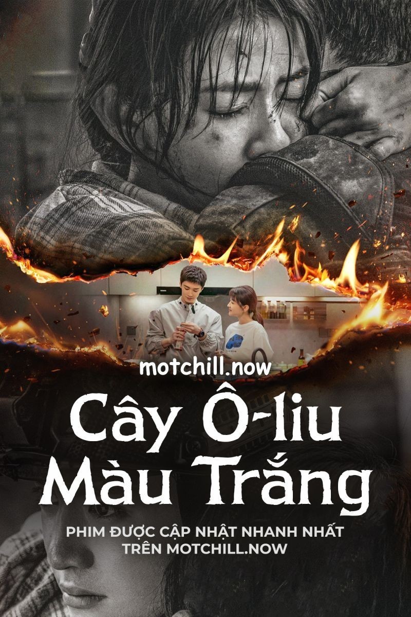 Cây Ô Liu Màu Trắng (Thuyết Minh)