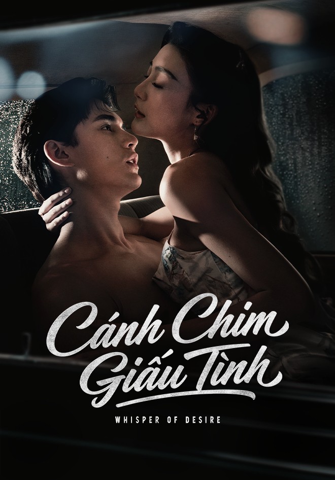 Cánh Chim Giấu Tình (Thuyết Minh)