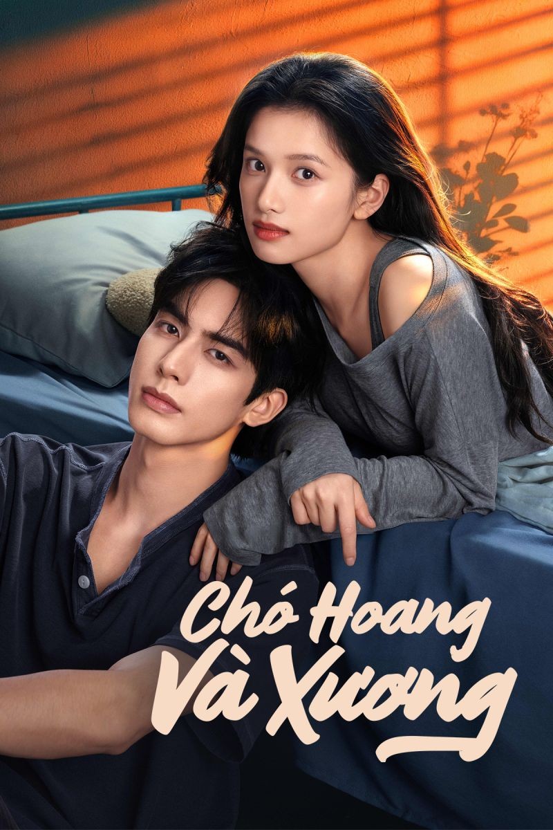 Chó Hoang Và Xương (Thuyết Minh)